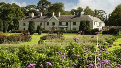 Guests enjoy lush gardens and a grand country house, offering a serene escape with scenic views and colourful flowers.