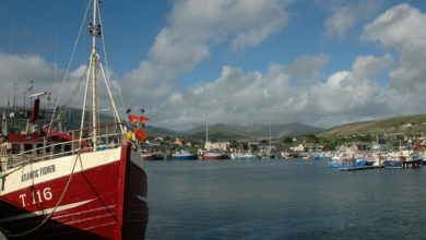 dingle-02