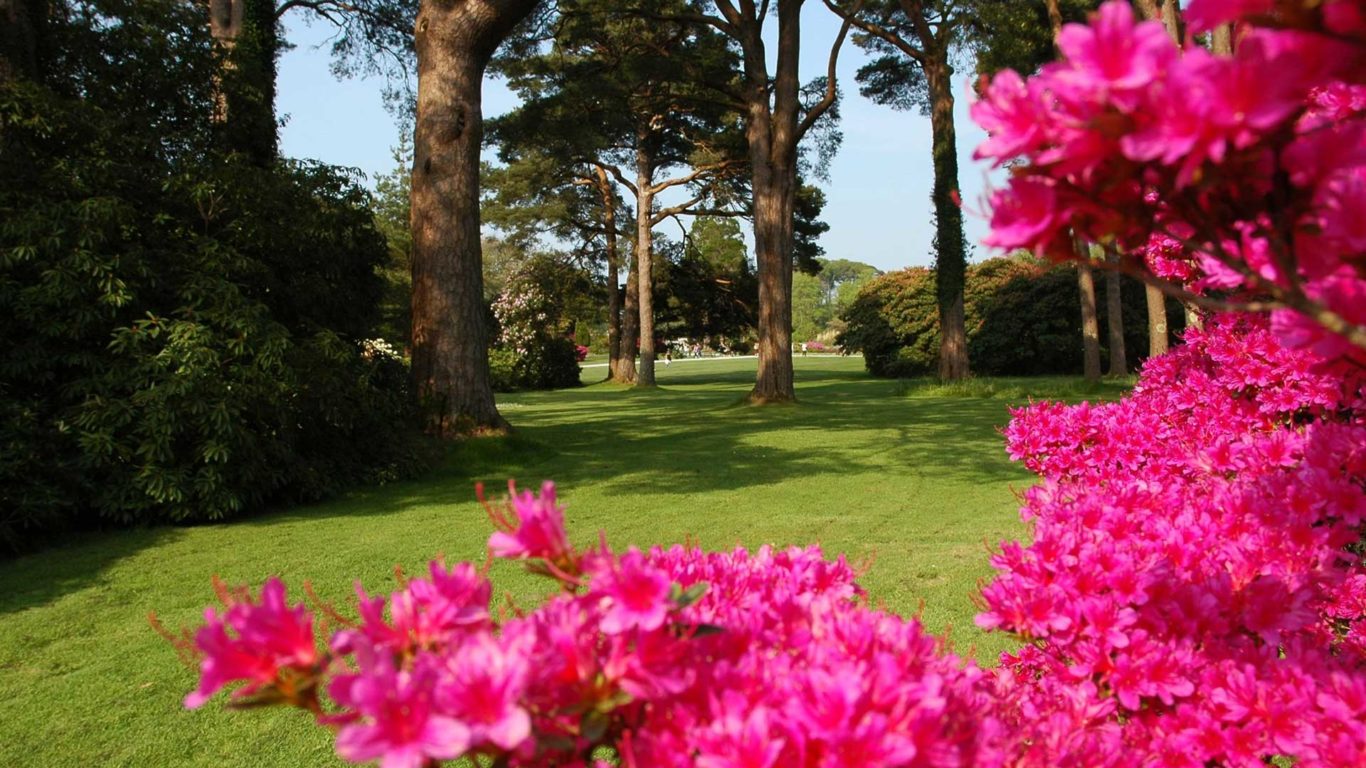 Muckross House Tourist Attraction In Killarney The Ross Hotel