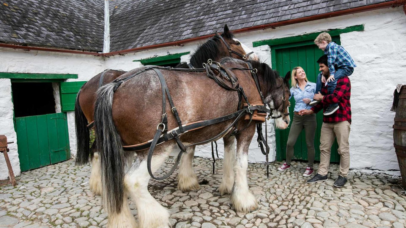 national-park-horses-01