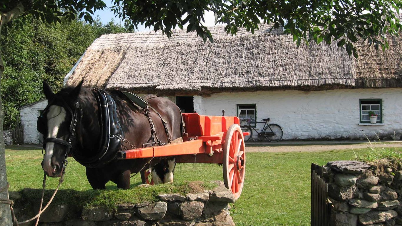 Muckross Traditional Farms Family Activities The Ross Hotel