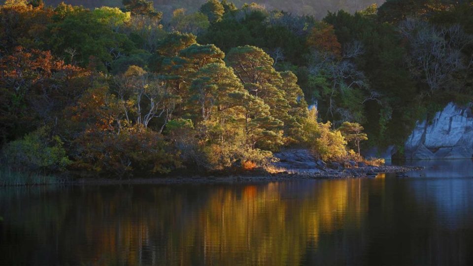 Autumn in Killarney