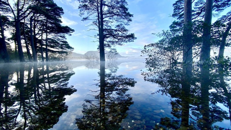 Killarney National Park Winter