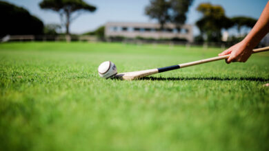 Experience croquet at our luxury hotel's lush green lawn, perfect for sunny leisure with trees and clear skies in the backdrop.