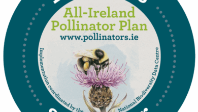 Circular badge with a bee on a purple flower, promoting the All-Ireland Pollinator Plan at pollinators.ie, labeled as a business supporter.